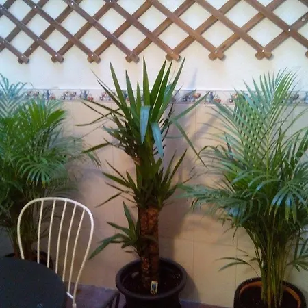 Apartment Principe Real Charming 1br,ba Private Courtyard